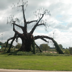 Arbre au Mans