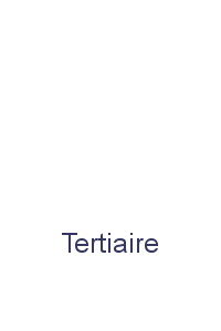 Tertiaire